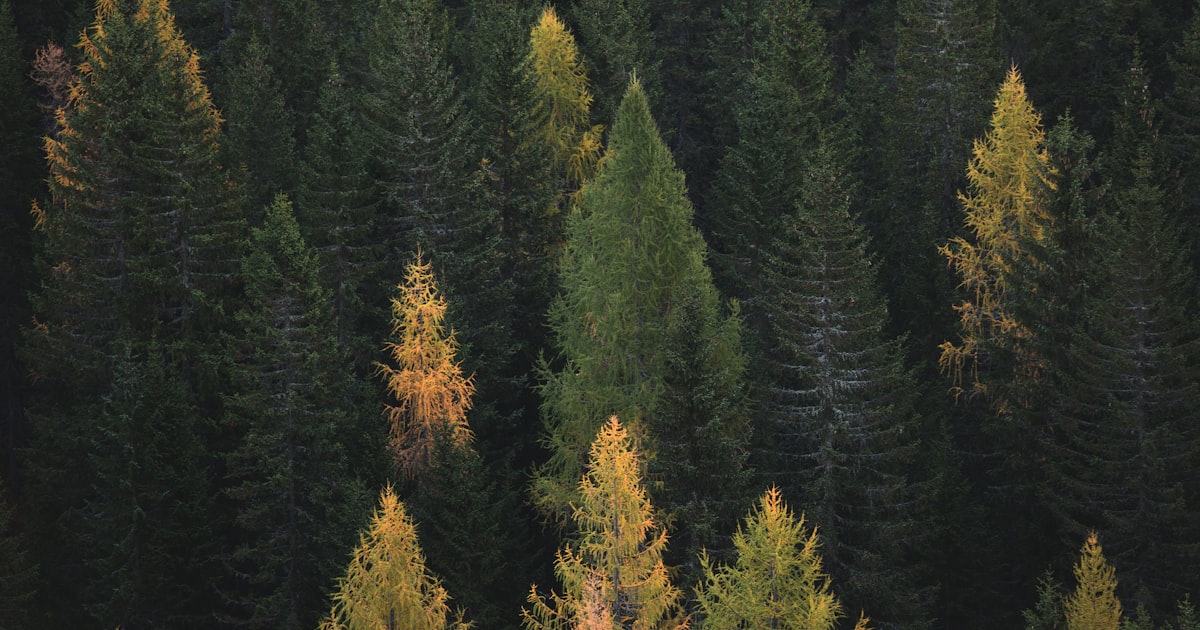 Seasonal patterns in property photography